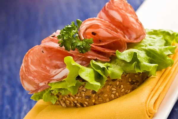 Sanduíche com Salame e Salada — Fotografia de Stock