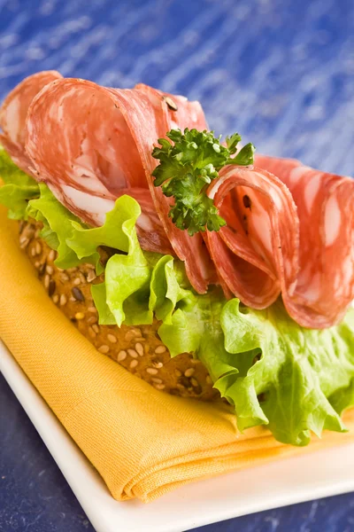 Sandwich con Salami y Ensalada — Foto de Stock