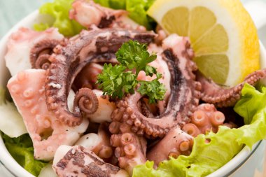 Octopus Salad clipart