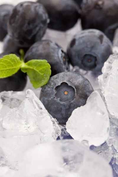 Blueberries on Ice — Stock Photo, Image