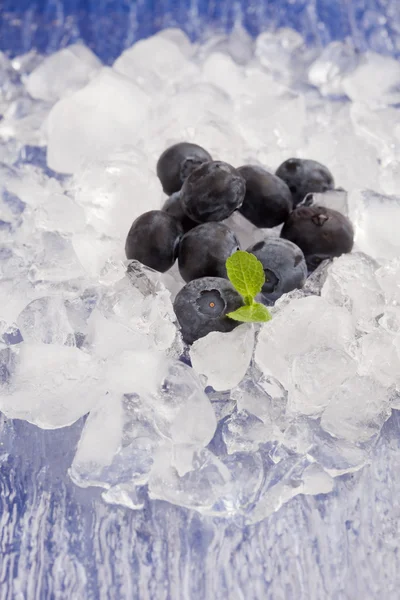氷の上のブルーベリー — ストック写真