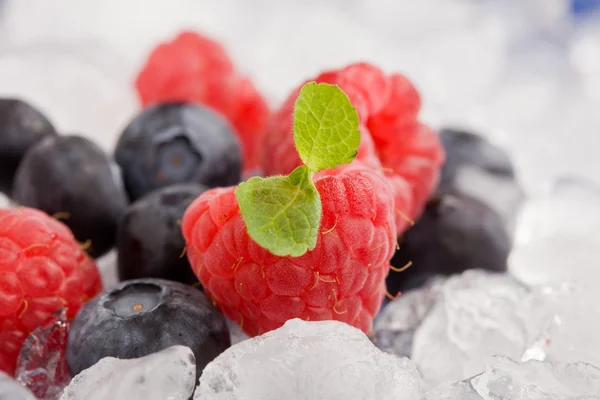 얼음 위의 열매 — 스톡 사진