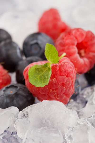 冰块上的浆果 — 图库照片
