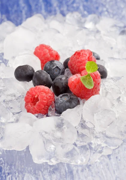 Ягоди на льоду — стокове фото