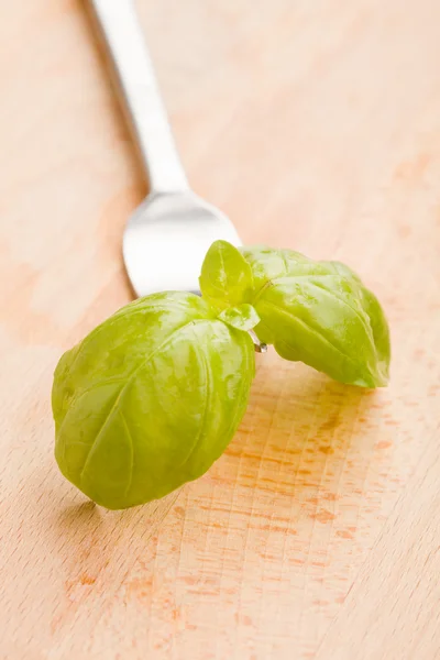 Fork with basil leaves — Stock Photo, Image