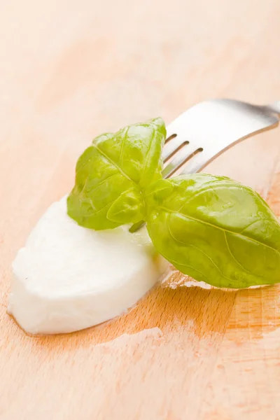 Mozzarella met basilicum blad — Stockfoto