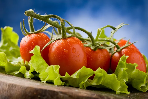 Tomates em alface — Fotografia de Stock