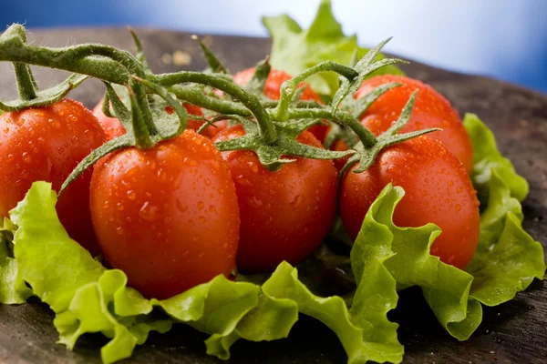Tomaten op sla — Stockfoto