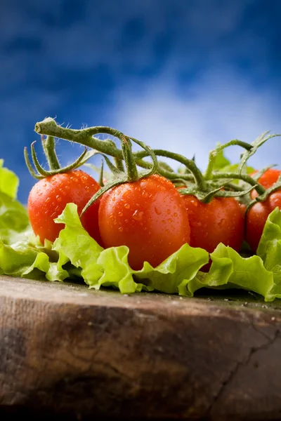 Tomates sur laitue — Photo