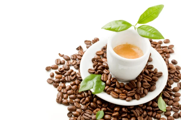 Espresso with green leaves on white background — Stock Photo, Image