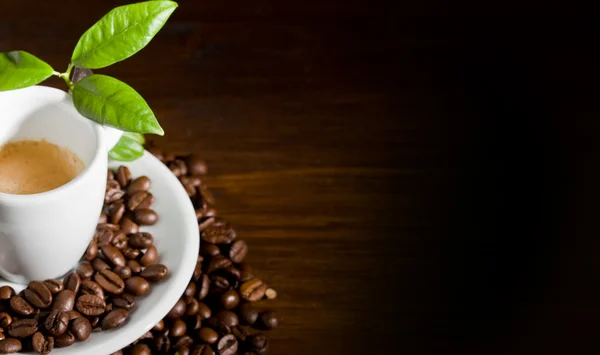 Espresso, zöld levelekkel — Stock Fotó