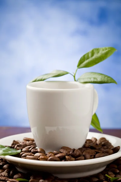 Espresso med gröna blad — Stockfoto