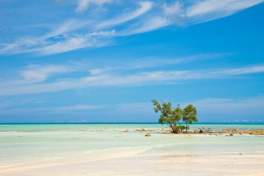 Empty Beach on Havelock Island clipart