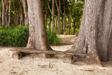 Bench at Radhanagar Beach clipart