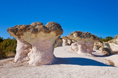 Stone Mushrooms clipart