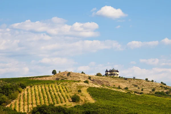 Mountain Winery Landscape — Stock Photo, Image
