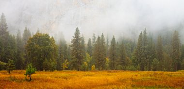 Yosemite Valley Scene clipart