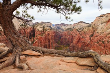 Zion Canyon clipart