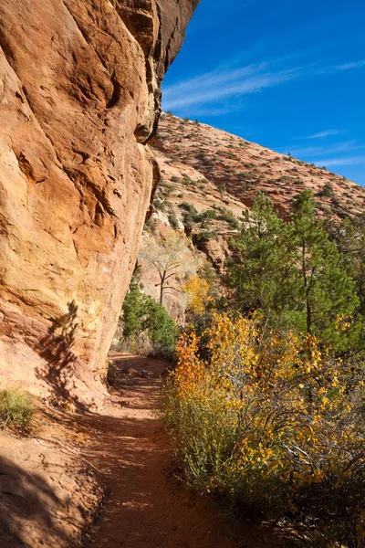 Zion Canyon Overlook Trail — Stock Photo, Image