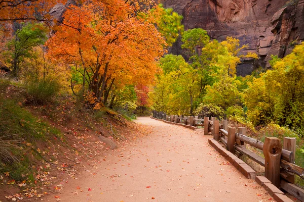 Zion Canyon Trail con desenfoque de movimiento de follaje —  Fotos de Stock