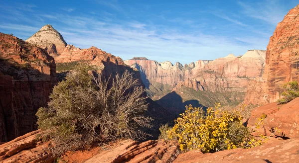 Zion canyon übersehen — Stockfoto