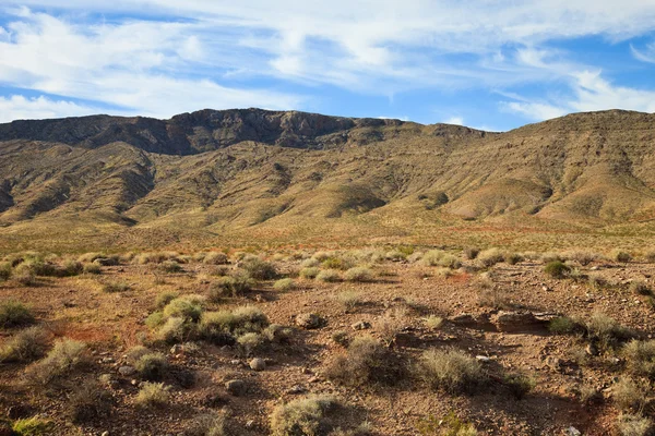 Nevada landskap — Stockfoto