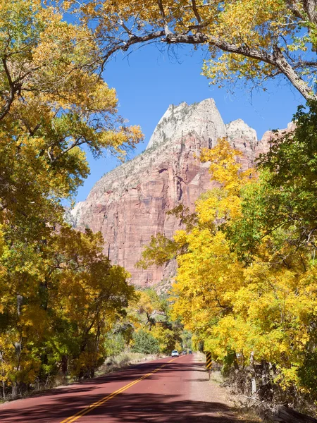 Promenade panoramique dans le canyon Zion en automne — Photo