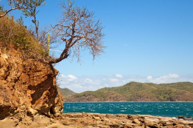 guanacaste bölgesinde Kosta Rika manzara yaz.