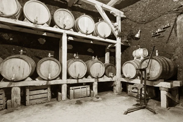 白酒酒窖 — 图库照片