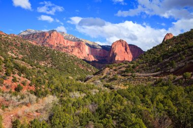 Beautiful view of Kolob Finger Canyons at Zion Canyon National Park, Utah. clipart