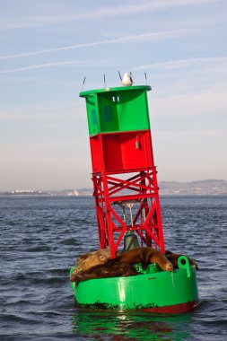 Sea Lions on a Buoy clipart