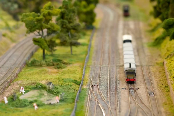 Miniaturní nákladní vlak — Stock fotografie
