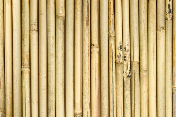 Tenda di bambù — Foto Stock