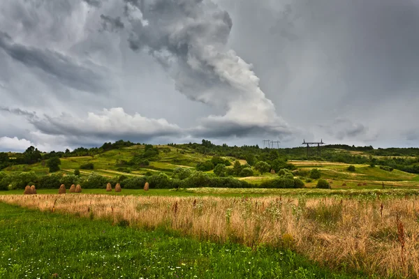 Field Grasses Dramatic Stormy Skies — Stock Photo, Image