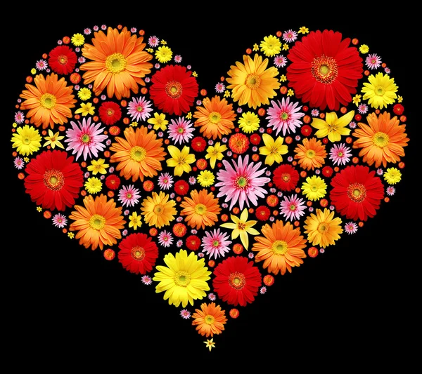 Květiny Srdce Izolovaných Černém Pozadí — Stock fotografie