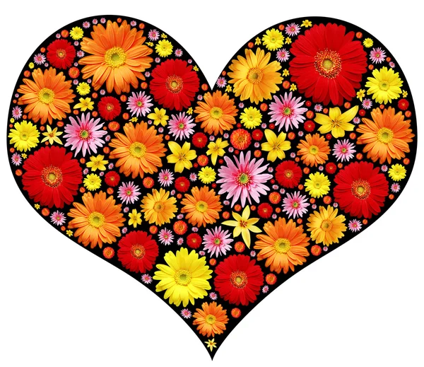 Beyaz Arka Plan Üzerinde Izole Kalp Çiçekler — Stok fotoğraf