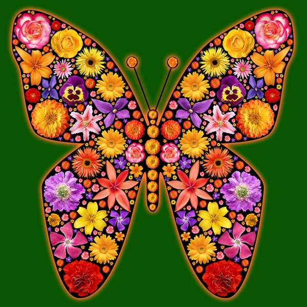Flores silueta mariposa —  Fotos de Stock