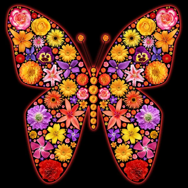 Silhouette Papillon Faite Fleurs — Photo