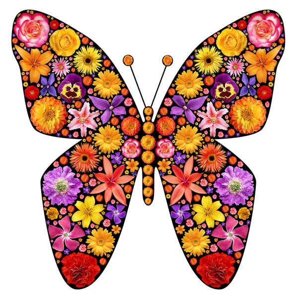 Schmetterlingssilhouette Aus Blumen — Stockfoto