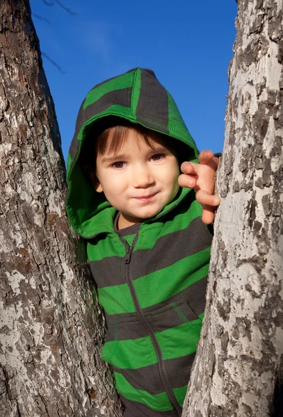 A small boy standing between trees — Stock Photo, Image
