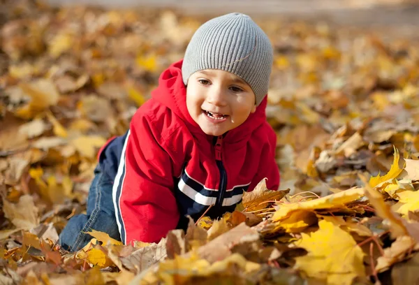 Chlapec, hrál s podzimní listí — Stock fotografie