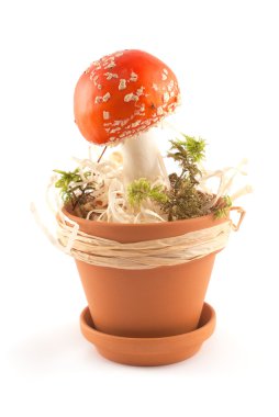 Amanita in pot clipart