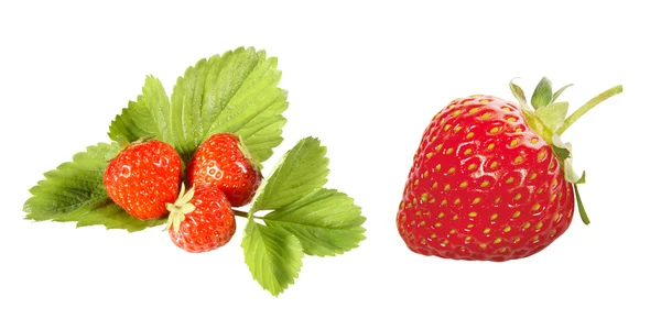 白色背景的红草莓 — 图库照片