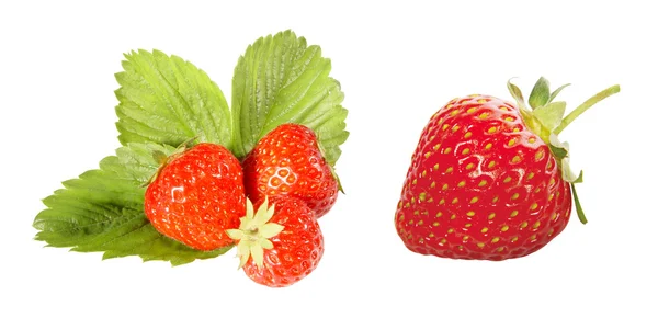 Röda jordgubbar på vit bakgrund — Stockfoto