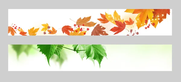 Herfst en lente banner — Stockfoto