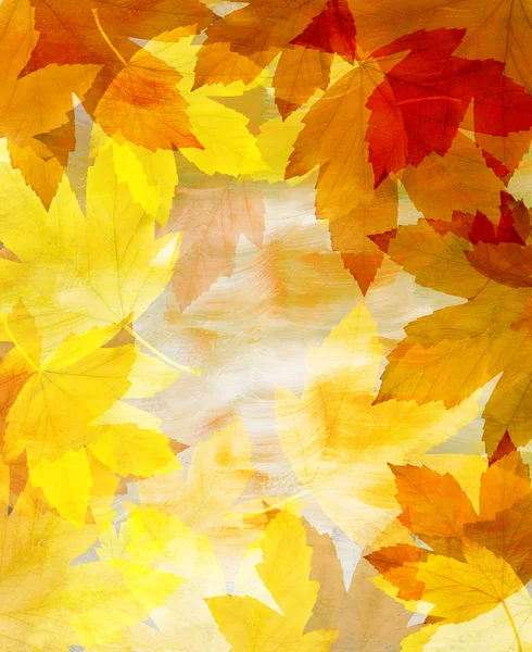 Tło z liści jesienią — Zdjęcie stockowe