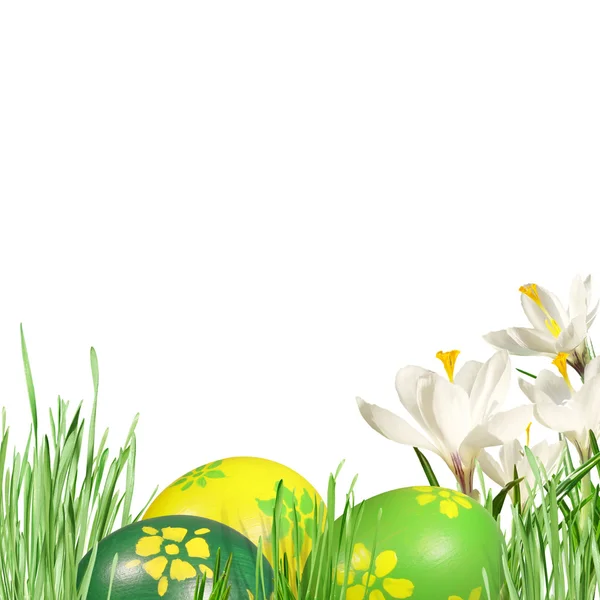 Crocos brancos na grama e ovos de Páscoa — Fotografia de Stock