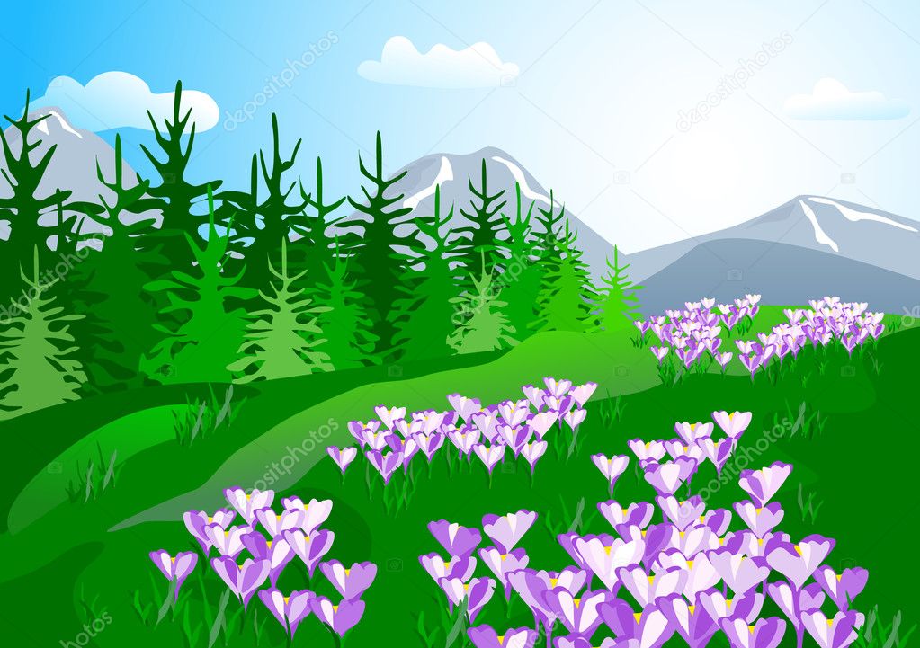 Mountain spring landscape with crocuses