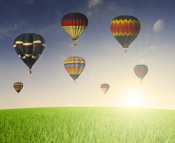 Hor Luftballon — Stockfoto
