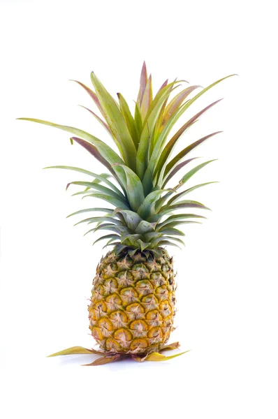 stock image Pineapple